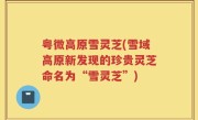 粤微高原雪灵芝(雪域高原新发现的珍贵灵芝命名为“雪灵芝”)