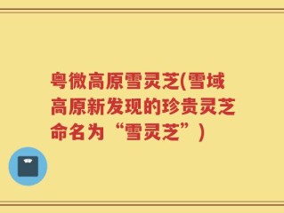 粤微高原雪灵芝(雪域高原新发现的珍贵灵芝命名为“雪灵芝”)