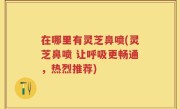 在哪里有灵芝鼻喷(灵芝鼻喷 让呼吸更畅通，热烈推荐)