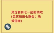 灵芝和田七一起的功效(灵芝和田七联合：功效倍增)