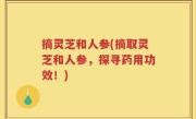 摘灵芝和人参(摘取灵芝和人参，探寻药用功效！)