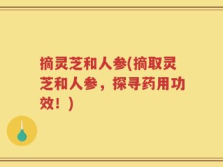 摘灵芝和人参(摘取灵芝和人参，探寻药用功效！)
