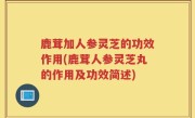 鹿茸加人参灵芝的功效作用(鹿茸人参灵芝丸的作用及功效简述)