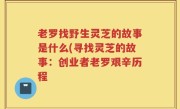 老罗找野生灵芝的故事是什么(寻找灵芝的故事：创业者老罗艰辛历程