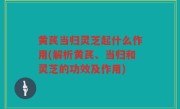 黄芪当归灵芝起什么作用(解析黄芪、当归和灵芝的功效及作用)