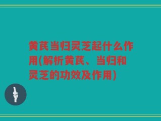 黄芪当归灵芝起什么作用(解析黄芪、当归和灵芝的功效及作用)