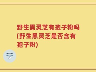 野生黑灵芝有孢子粉吗(野生黑灵芝是否含有孢子粉)