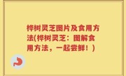 桦树灵芝图片及食用方法(桦树灵芝：图解食用方法，一起尝鲜！)