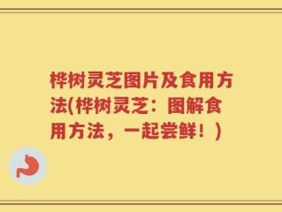 桦树灵芝图片及食用方法(桦树灵芝：图解食用方法，一起尝鲜！)