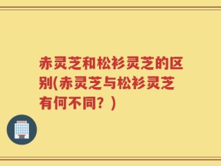 赤灵芝和松衫灵芝的区别(赤灵芝与松衫灵芝有何不同？)