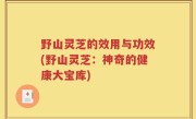 野山灵芝的效用与功效(野山灵芝：神奇的健康大宝库)