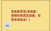 青龙县灵芝(青龙县：发现珍贵灵芝资源，引发市场关注！)