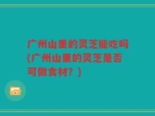 广州山里的灵芝能吃吗(广州山里的灵芝是否可做食材？)