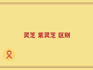 灵芝 紫灵芝 区别