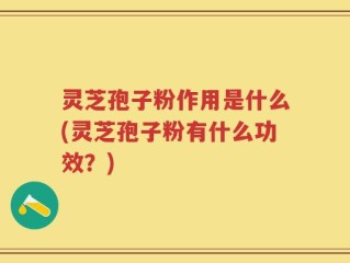 灵芝孢子粉作用是什么(灵芝孢子粉有什么功效？)