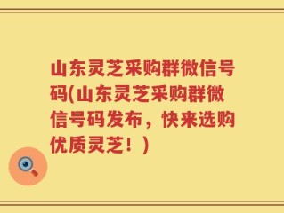 山东灵芝采购群微信号码(山东灵芝采购群微信号码发布，快来选购优质灵芝！)