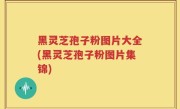 黑灵芝孢子粉图片大全(黑灵芝孢子粉图片集锦)