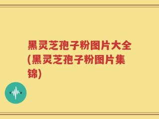 黑灵芝孢子粉图片大全(黑灵芝孢子粉图片集锦)