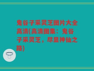 鬼谷子采灵芝图片大全高清(高清图集：鬼谷子采灵芝，尽显神仙之路)