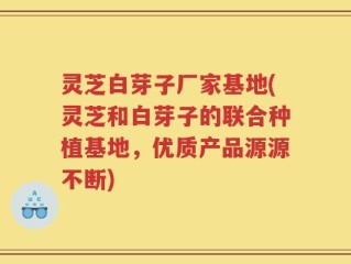 灵芝白芽子厂家基地(灵芝和白芽子的联合种植基地，优质产品源源不断)
