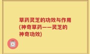 草药灵芝的功效与作用(神奇草药——灵芝的神奇功效)