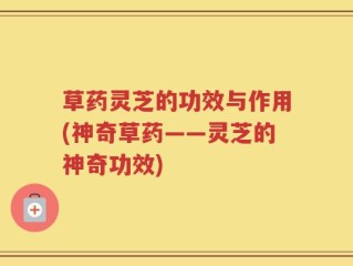 草药灵芝的功效与作用(神奇草药——灵芝的神奇功效)