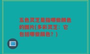 五色灵芝是指哪些颜色的图片(多彩灵芝：它包括哪些颜色？)