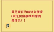 灵芝现在为啥这么便宜(灵芝价格暴跌的原因是什么？)