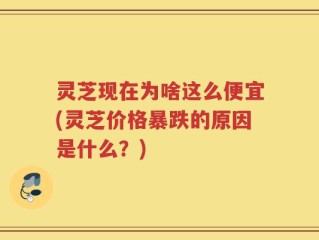 灵芝现在为啥这么便宜(灵芝价格暴跌的原因是什么？)