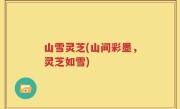 山雪灵芝(山间彩墨，灵芝如雪)