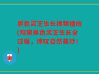 黑色灵芝生长视频播放(观察黑色灵芝生长全过程，惊叹自然美妙！)