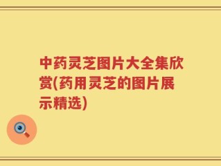 中药灵芝图片大全集欣赏(药用灵芝的图片展示精选)