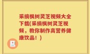 采摘枫树灵芝视频大全下载(采摘枫树灵芝视频，教你制作高营养健康饮品！)