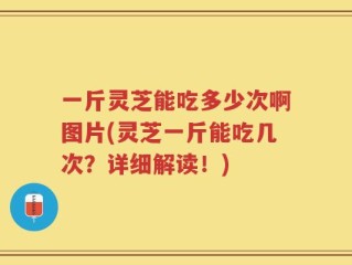 一斤灵芝能吃多少次啊图片(灵芝一斤能吃几次？详细解读！)