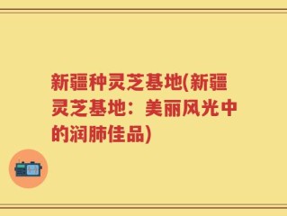 新疆种灵芝基地(新疆灵芝基地：美丽风光中的润肺佳品)