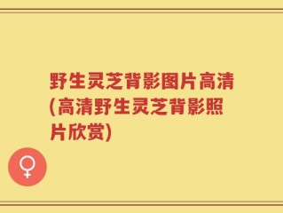 野生灵芝背影图片高清(高清野生灵芝背影照片欣赏)