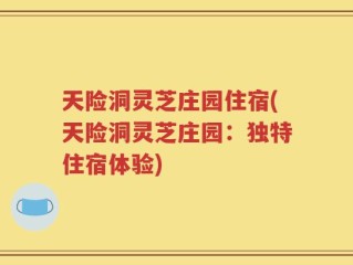 天险洞灵芝庄园住宿(天险洞灵芝庄园：独特住宿体验)