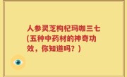人参灵芝枸杞玛咖三七(五种中药材的神奇功效，你知道吗？)