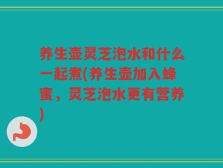 养生壶灵芝泡水和什么一起煮(养生壶加入蜂蜜，灵芝泡水更有营养)