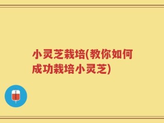 小灵芝栽培(教你如何成功栽培小灵芝)