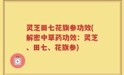 灵芝田七花旗参功效(解密中草药功效：灵芝、田七、花旗参)