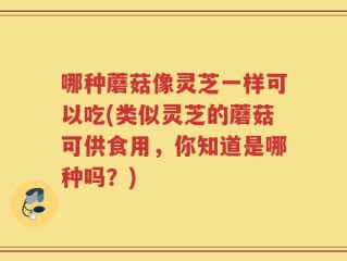 哪种蘑菇像灵芝一样可以吃(类似灵芝的蘑菇可供食用，你知道是哪种吗？)