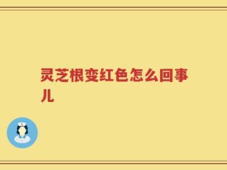 灵芝根变红色怎么回事儿