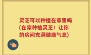 灵芝可以种植在家里吗(在家种植灵芝！让你的房间充满健康气息)