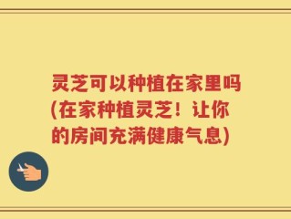 灵芝可以种植在家里吗(在家种植灵芝！让你的房间充满健康气息)
