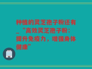 种植的灵芝孢子粉还有_“高效灵芝孢子粉：提升免疫力，增强身体健康”