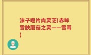 沫子瞪片肉灵芝(赤眸雪肤蘑菇之灵——雪耳)