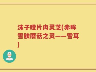 沫子瞪片肉灵芝(赤眸雪肤蘑菇之灵——雪耳)