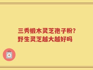 三秀椴木灵芝孢子粉？野生灵芝越大越好吗