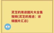 灵芝的用途图片大全集视频(灵芝的用途：详细图片汇总)
